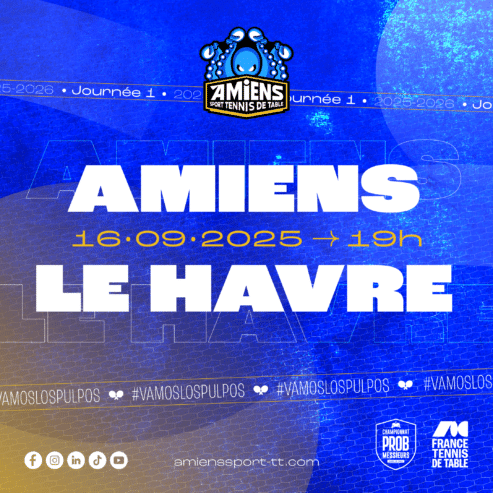 Pro B : l’Amiens STT reçoit Le Havre le mardi 16 septembre 2025 à 19h00